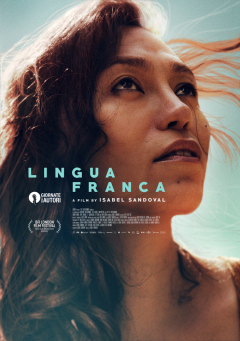ლინგვა ფრანკა / Lingua Franca