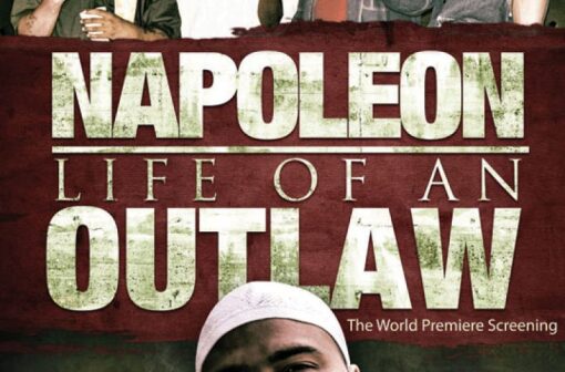 ნაპოლეონი: გარიყულის ცხოვრება / Napoleon: Life of an Outlaw