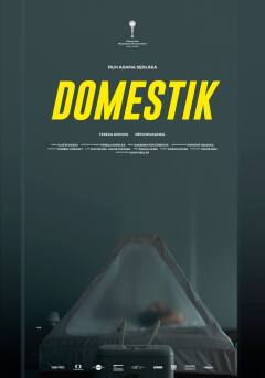 დომესტიკი / Domestique