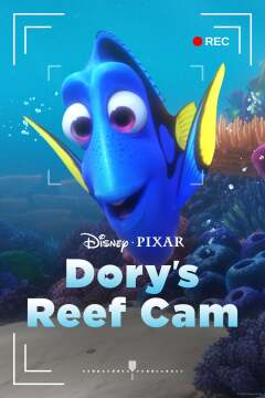 დორის რიფების ვიდეოკამერა / Dory's Reef Cam