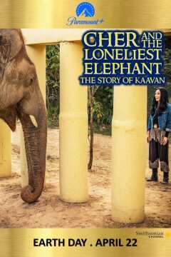 შერი და ყველაზე მარტოსული სპილო / Cher and the Loneliest Elephant