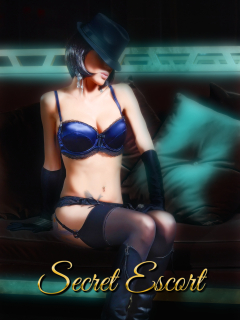 საიდუმლო ესკორტი / Secret Escort