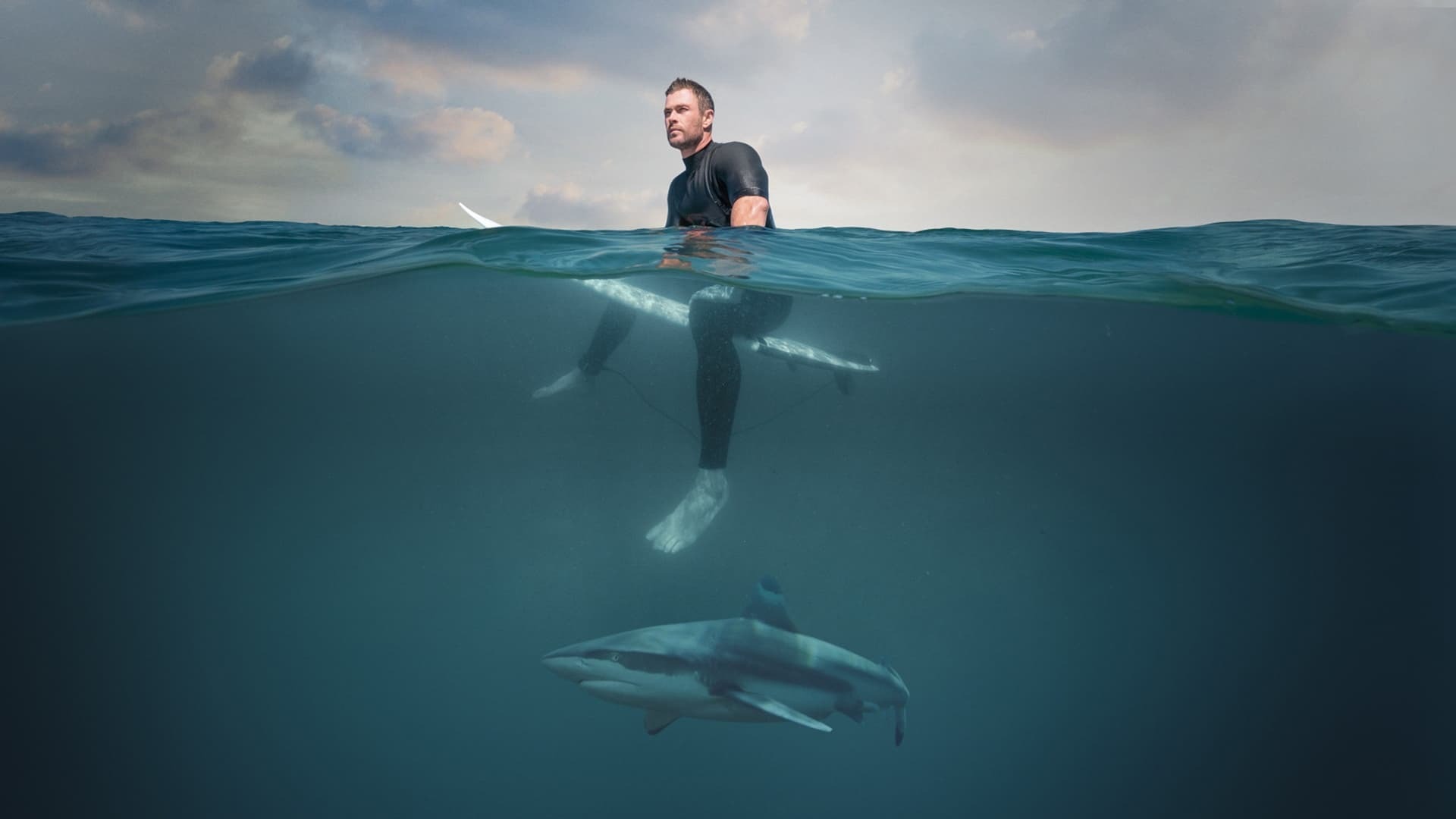 „შარკ ბიჩი“ კრის ჰემსვორთთან ერთად / Shark Beach with Chris Hemsworth