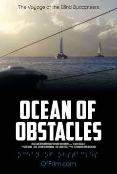 დაბრკოლებების ოკეანე / Ocean of Obstacles