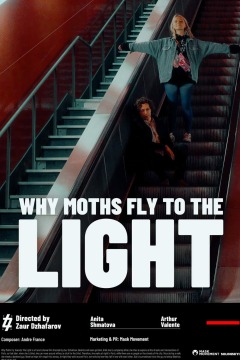 რატომ მიფრინავენ ფარვანები შუქისკენ? / Why Moths Fly to the Light?