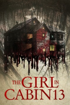 გოგონა მეცამეტე ჯიხურში / The Girl in Cabin 13