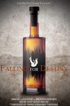 ბედისწერის მორჩილება / Falling for Destiny