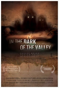 ხეობა, რომელიც საიდუმლოს მალავს / In the Dark of the Valley