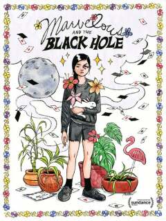 გასაოცარი და შავი ხვრელი / Marvelous and the Black Hole