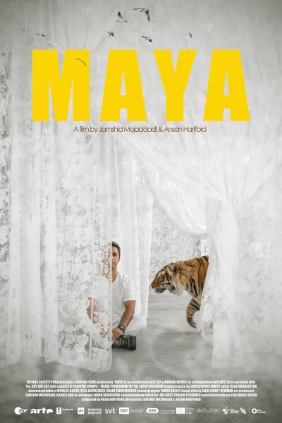 Maya / Тигрица Майя