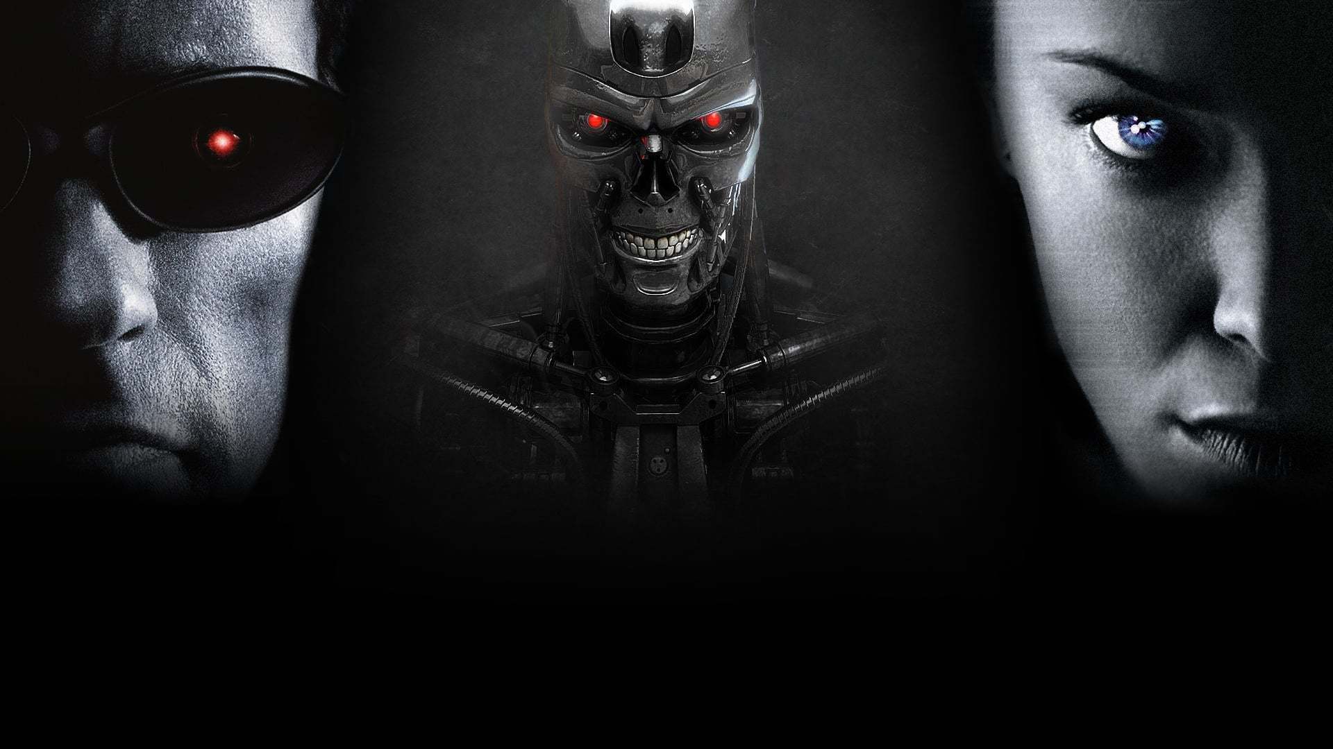 ტერმინატორი 3: მანქანების ამბოხი / Terminator 3: Rise of the Machines
