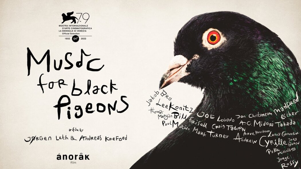 მუსიკა შავი მტრედებისთვის / Music for Black Pigeons