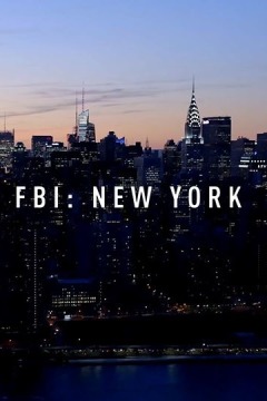 გამოძიების ფედერალური ბიუროს შიგნით: ნიუ იორკი / Inside the FBI: New York