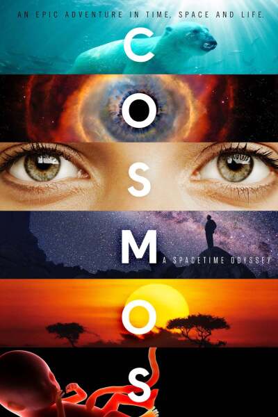 კოსმოსი: სივრცე და დრო / Cosmos: A Spacetime Odyssey