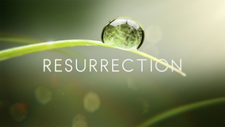 აღდგომა / Resurrection