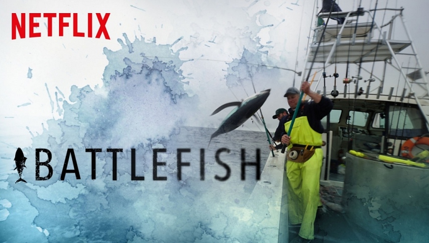 მებრძოლი თევზი / Battlefish