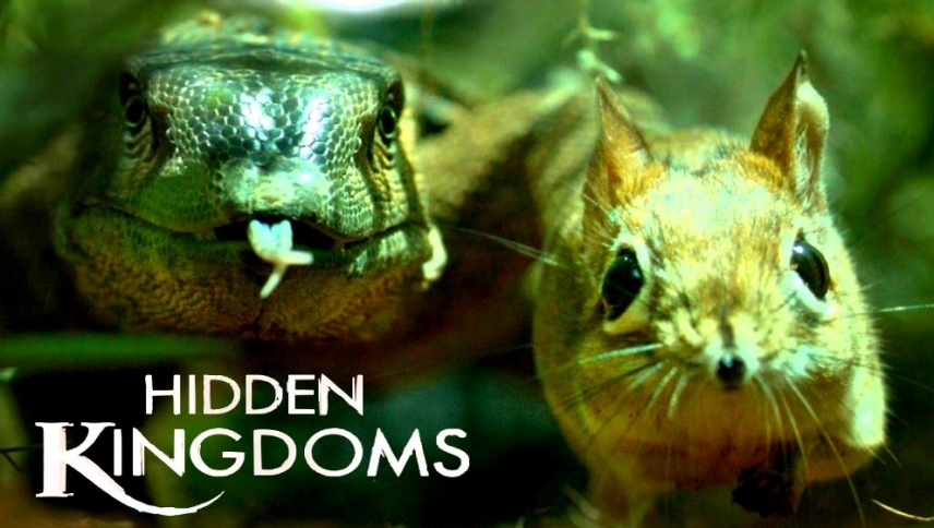 დამალული სამყაროები / Hidden Kingdoms