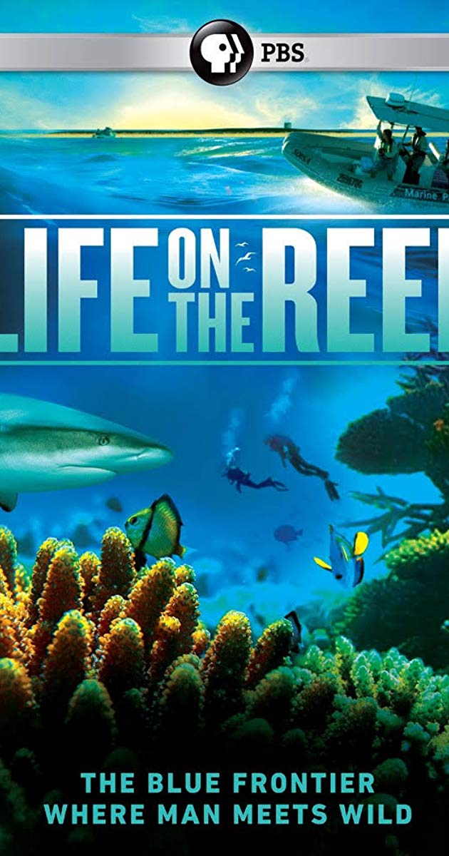 ცხოვრება რიფებზე / Life on the Reef