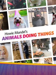 ჰოუი მანდელის „აი, რას ჩადიან ცხოველები“ / Howie Mandel's Animals Doing Things