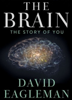 ტვინი - ექიმ დევიდ ეგელმანთან ერთად / The Brain with Dr. David Eagleman