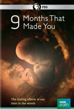 9 თვე, რომელშიც შეიქმენი / 9 Months That Made You