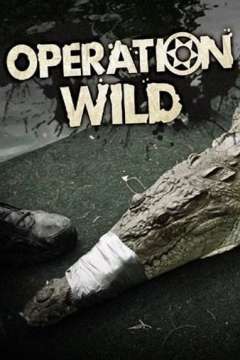 ოპერაცია უდაბური / Operation Wild