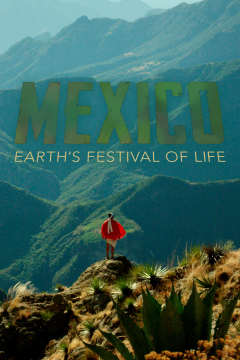 მექსიკა: დედამიწის სიცოცხლის ფესტივალი / Mexico: Earth's Festival of Life