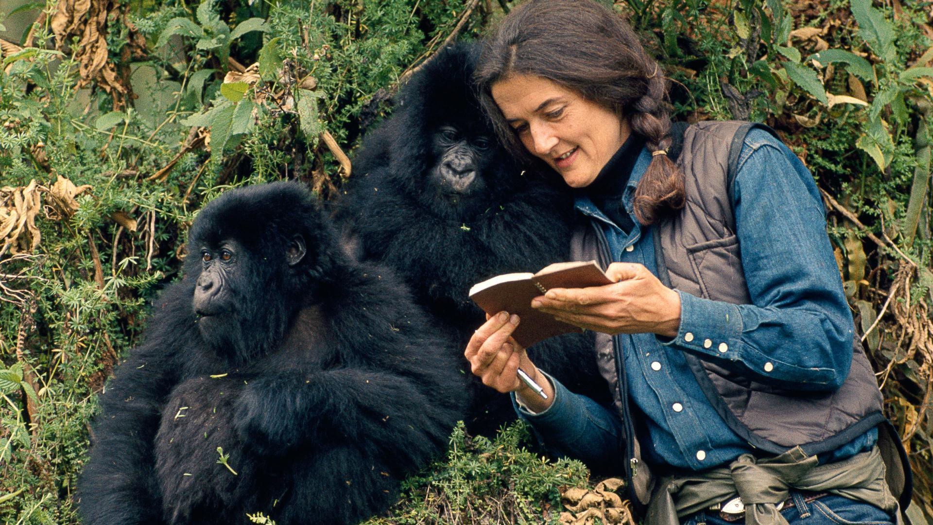დაიან ფოსი: საიდუმლოებანი ნისლში / Dian Fossey: Secrets in the Mist