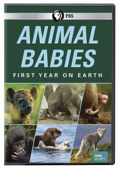 პატარა ცხოველები: პირველი წელი დედამიწაზე / Animal Babies: First Year on Earth