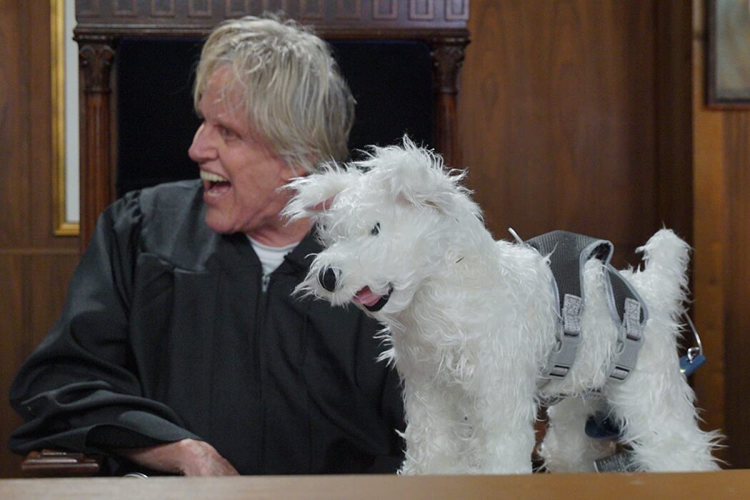 Gary Busey: Pet Judge