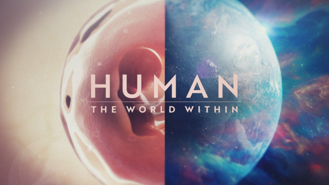 Human: The World Within / Человеческое тело: мир внутри