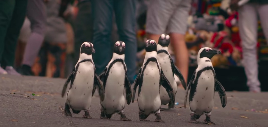 Penguin Town / Город пингвинов