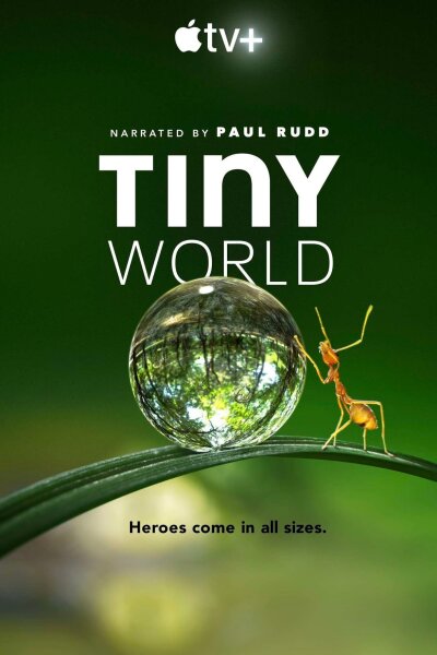 Tiny World / Крошечный мир