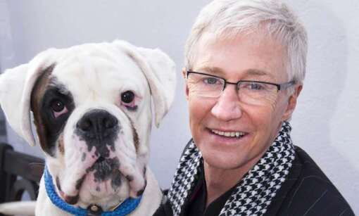 Paul O'Grady: For the Love of Dogs