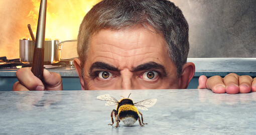 კაცი ფუტკრის წინააღმდეგ / Man vs. Bee