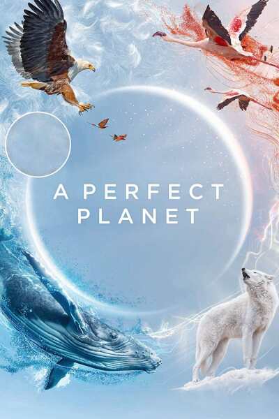 A Perfect Planet / Идеальная планета