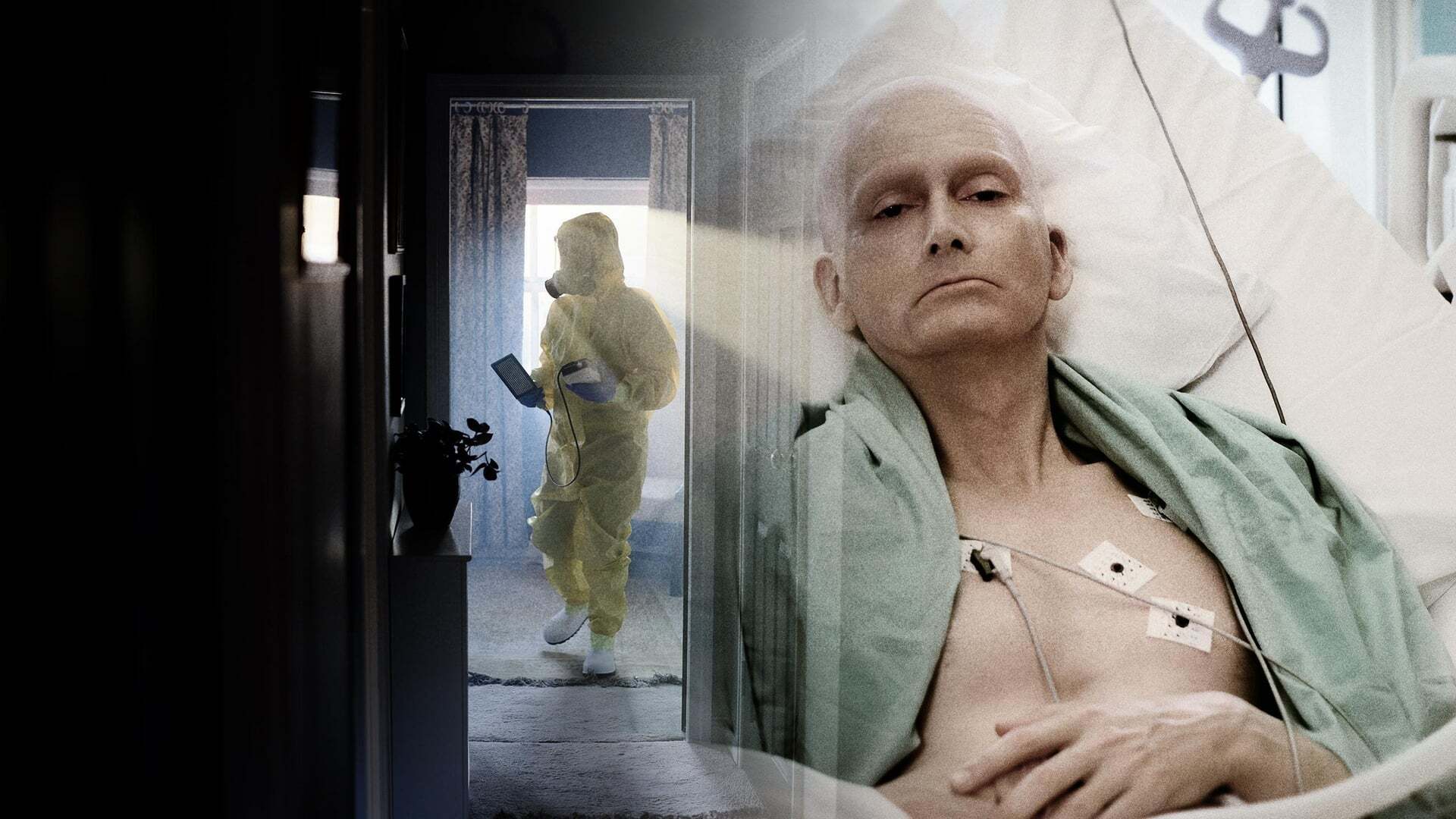 Litvinenko / Литвиненко