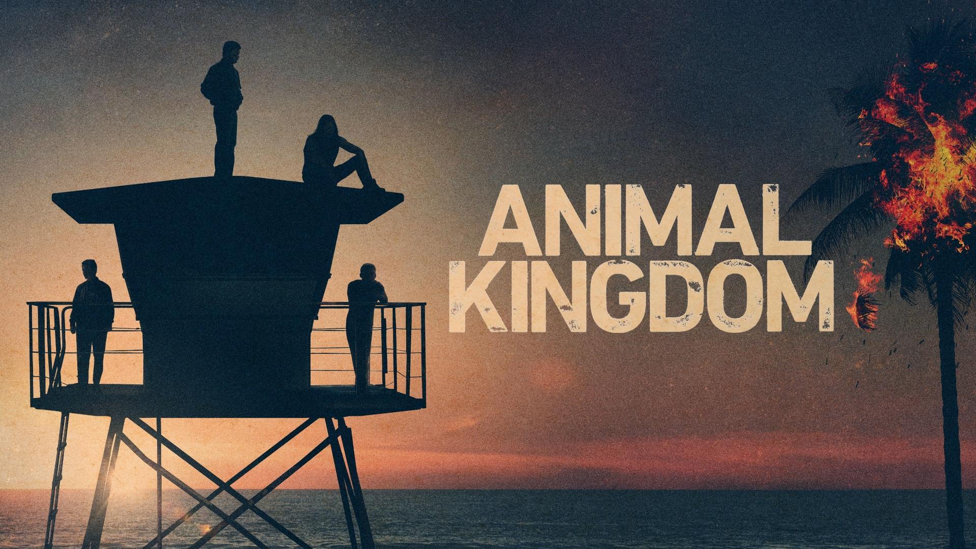 ცხოველთა სამეფო / Animal Kingdom