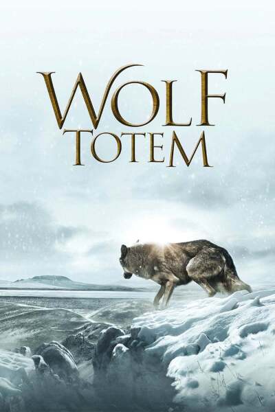 მგელი ტოტემი / Wolf Totem