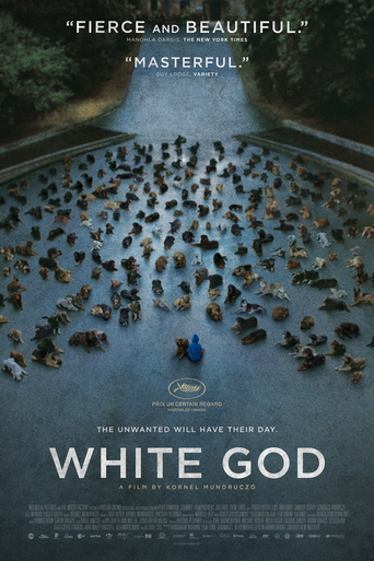 თეთრი ღმერთი / White God