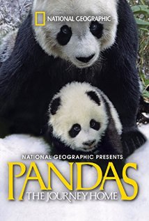 პანდები: შინ დაბრუნება / Pandas: The Journey Home