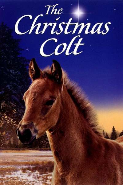 საშობაო კვიცი / The Christmas Colt