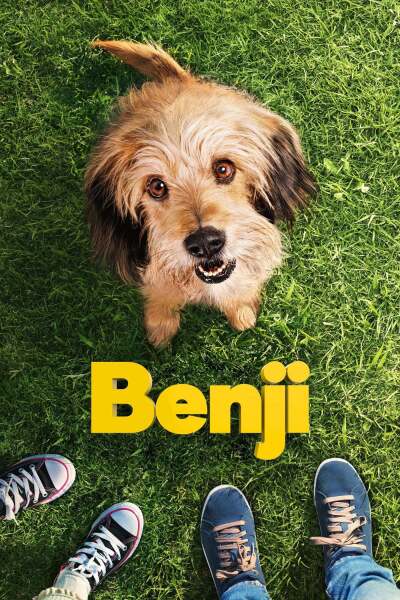 ბენჯი / Benji