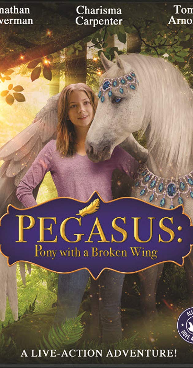 პონი მოტეხილი ფრთით / Pegasus: Pony with a Broken Wing