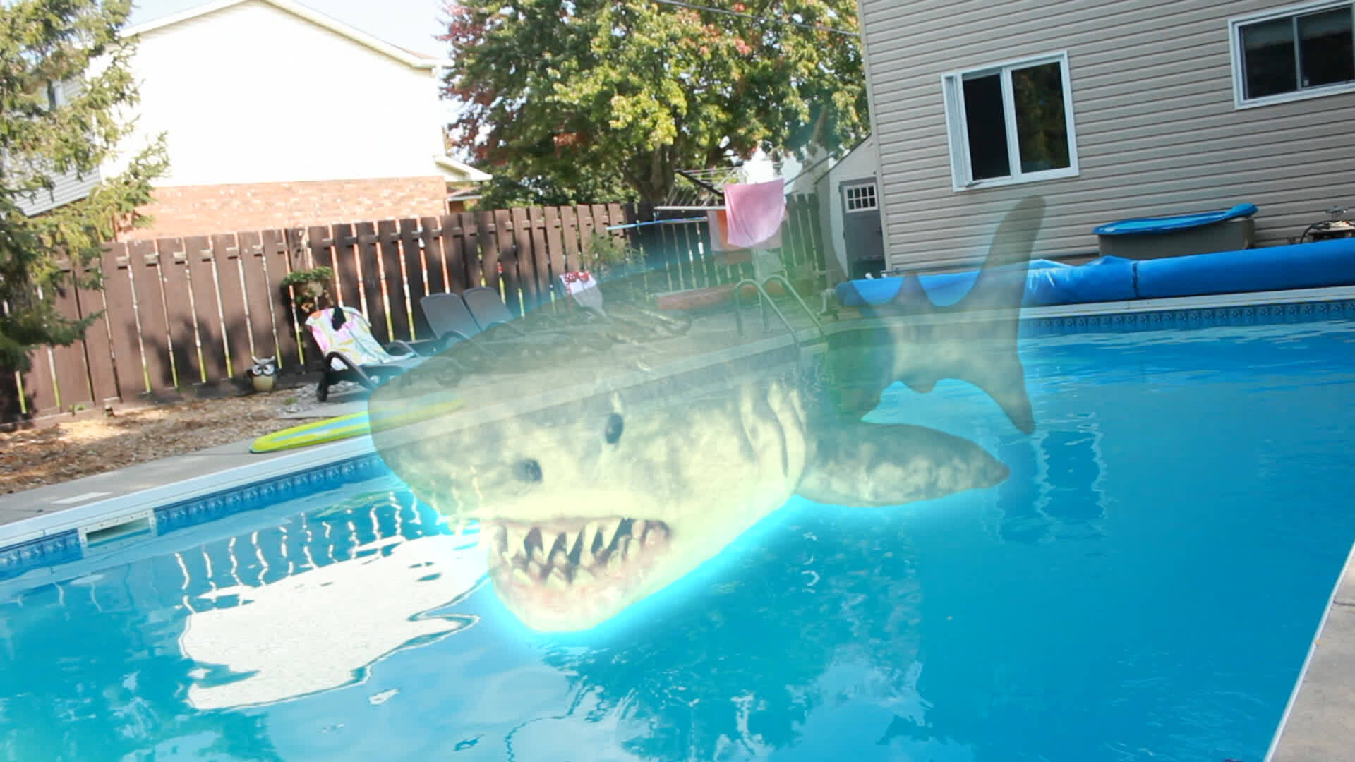 უიჯა ზვიგენი / Ouija Shark