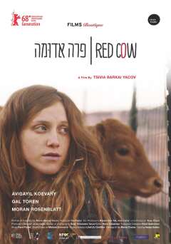 წითელი ხბო / Red Cow