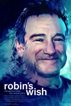 რობინის სურვილი / Robin's Wish