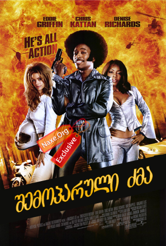 შემოპარული ძმა (ქართულად) / Undercover Brother / filmi shemoparuli zma (qartulad)