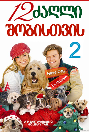 12 ძაღლი შობისთვის 2 / 12 Dogs of Christmas 2: Great Puppy Rescue