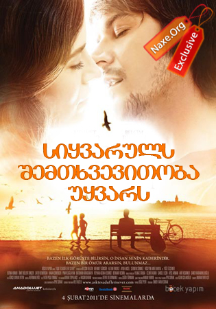 სიყვარულს შემთხვევითობა უყვარს / Love Loves Coincidences (Ask Tesadüfleri Sever)